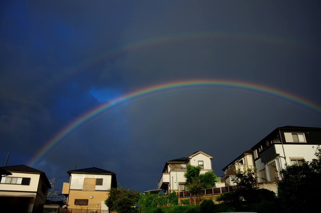 W RAINBOW