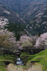 霞間ヶ渓の春