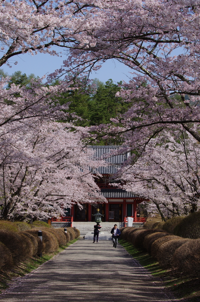 蓼科山聖光寺