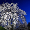 光前寺山門、夜