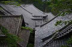 瓦の魅力