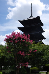 夏の五重塔 東寺