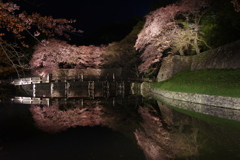 彦根城大手門橋 夜桜