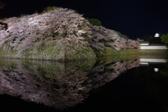 水面に映る彦根城