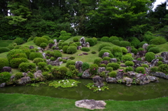 龍潭寺庭園