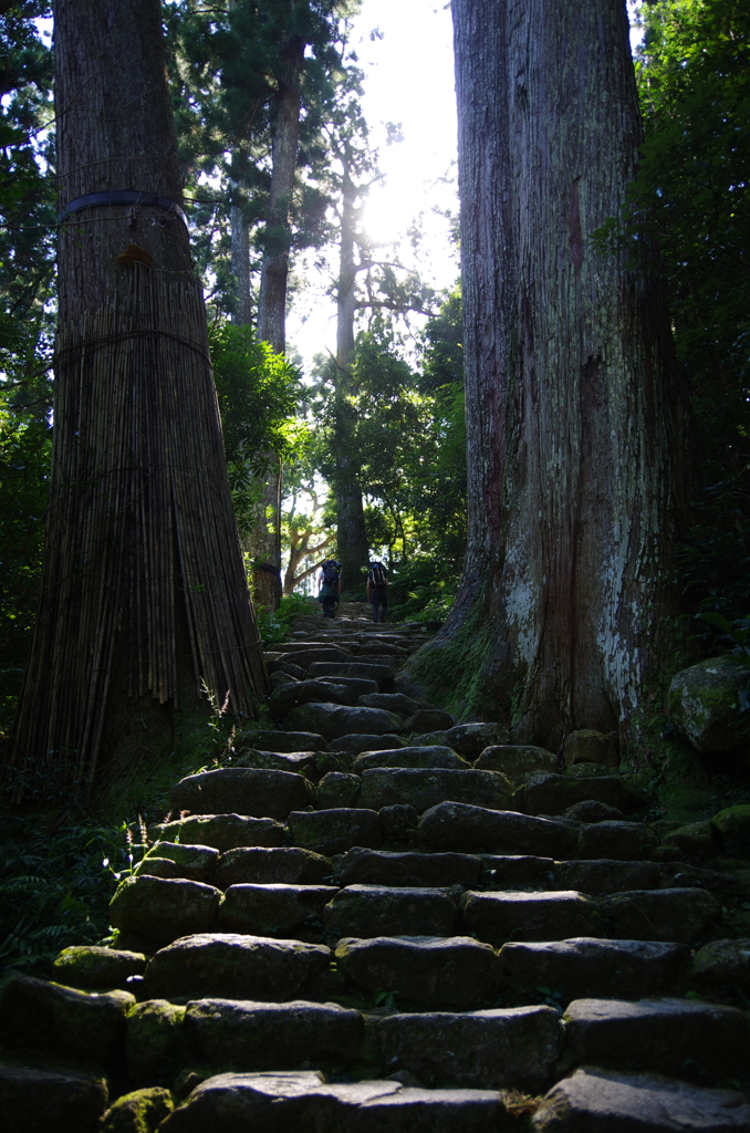 大杉の門