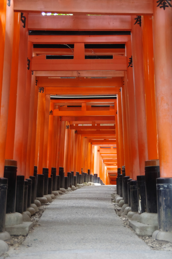 千本鳥居