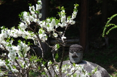 春の石仏