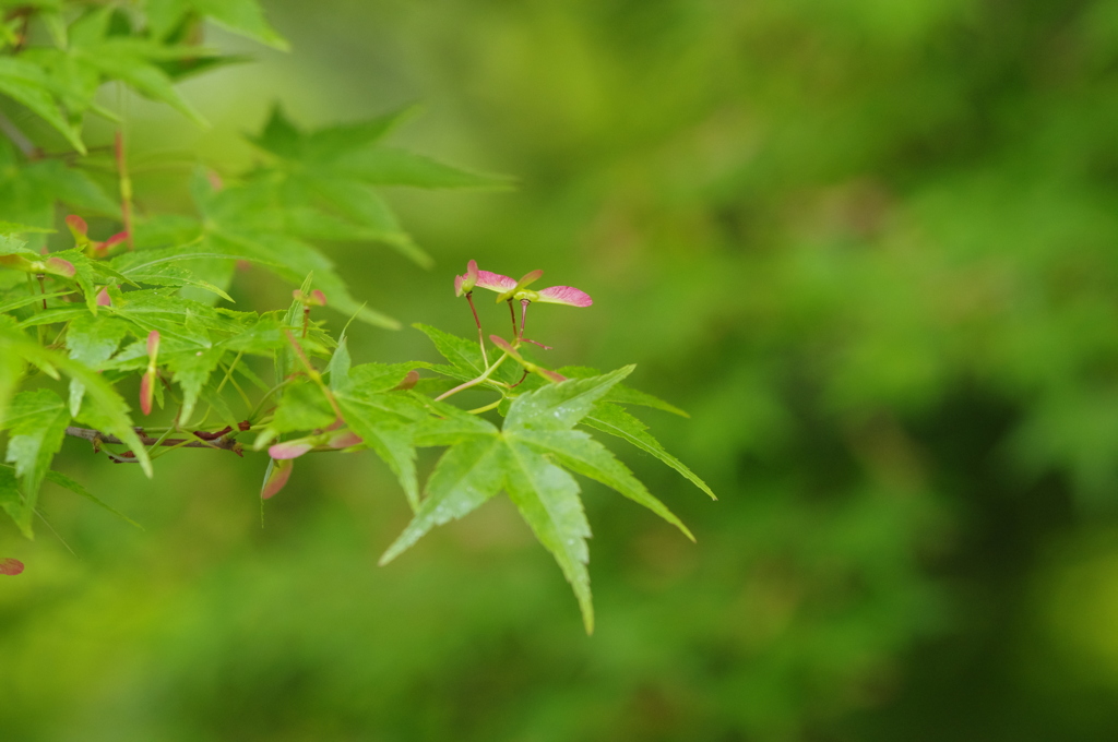 発射準備完了！