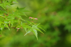 発射準備完了！