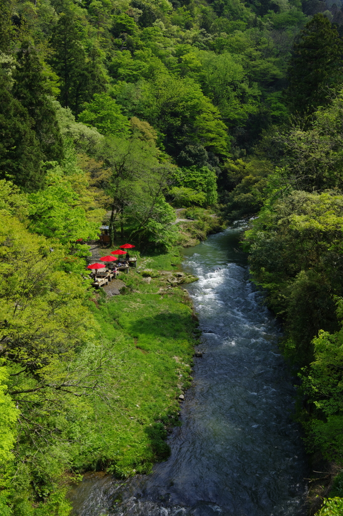 初夏の鶴仙渓