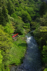 初夏の鶴仙渓
