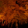 紅葉谷～香嵐渓、秋～