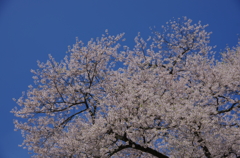 蒼空へ