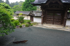 お魚の泳ぐ庭
