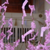 合格桜