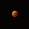 赤銅の月