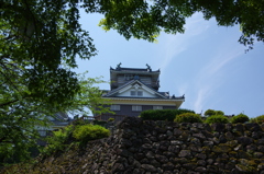 天空の城　越前大野城
