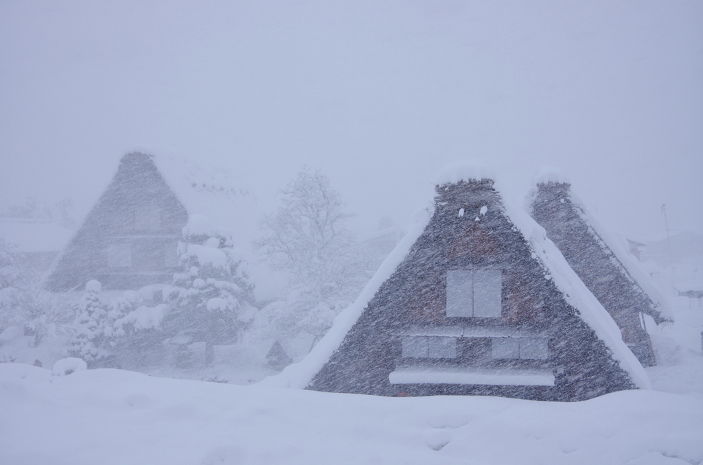 豪雪に耐える