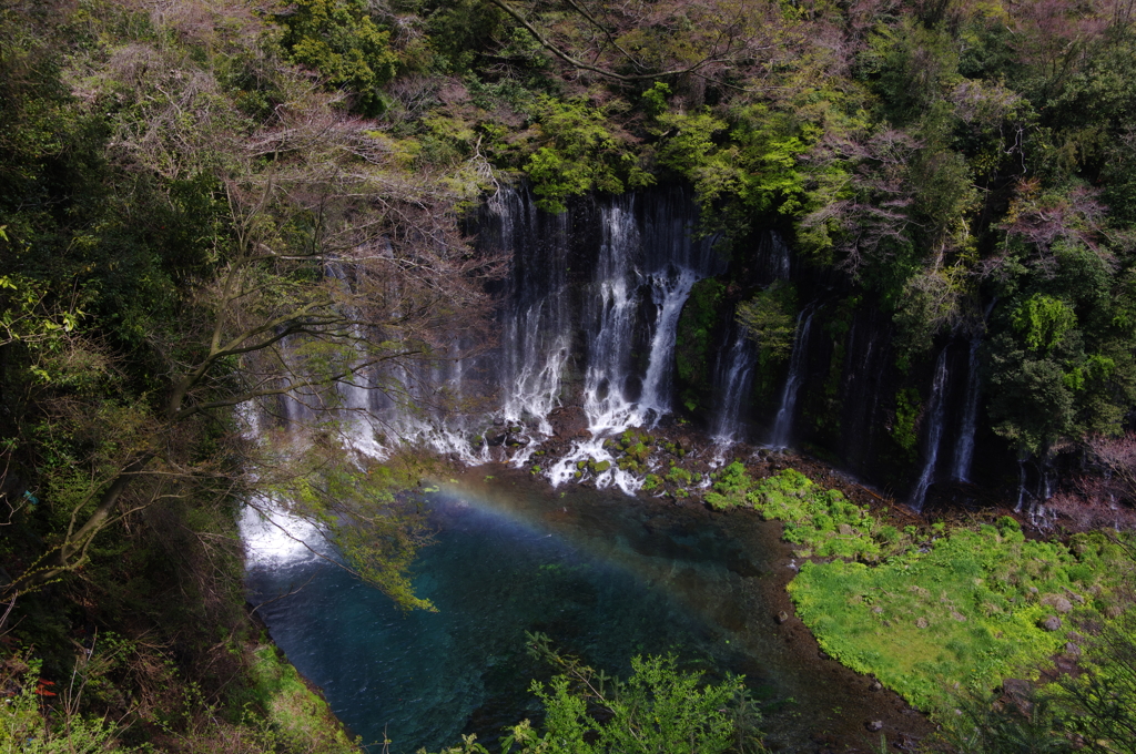 白糸の滝にかかる虹