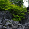 奇岩と青紅葉　石山寺