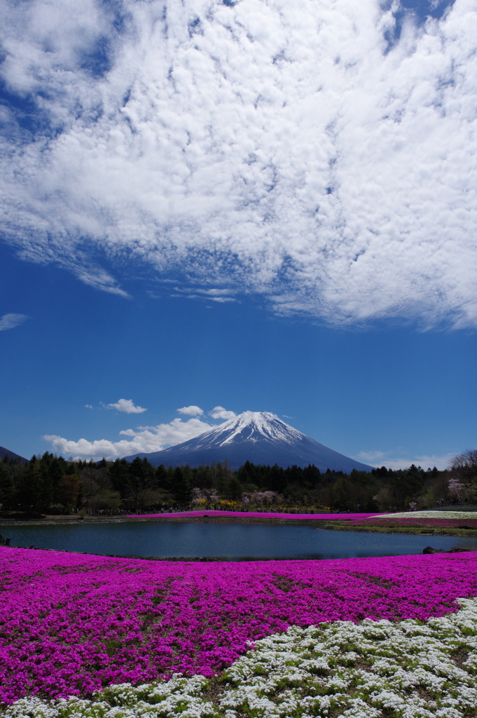 日の丸富士山