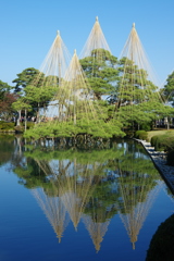 兼六園 雪吊
