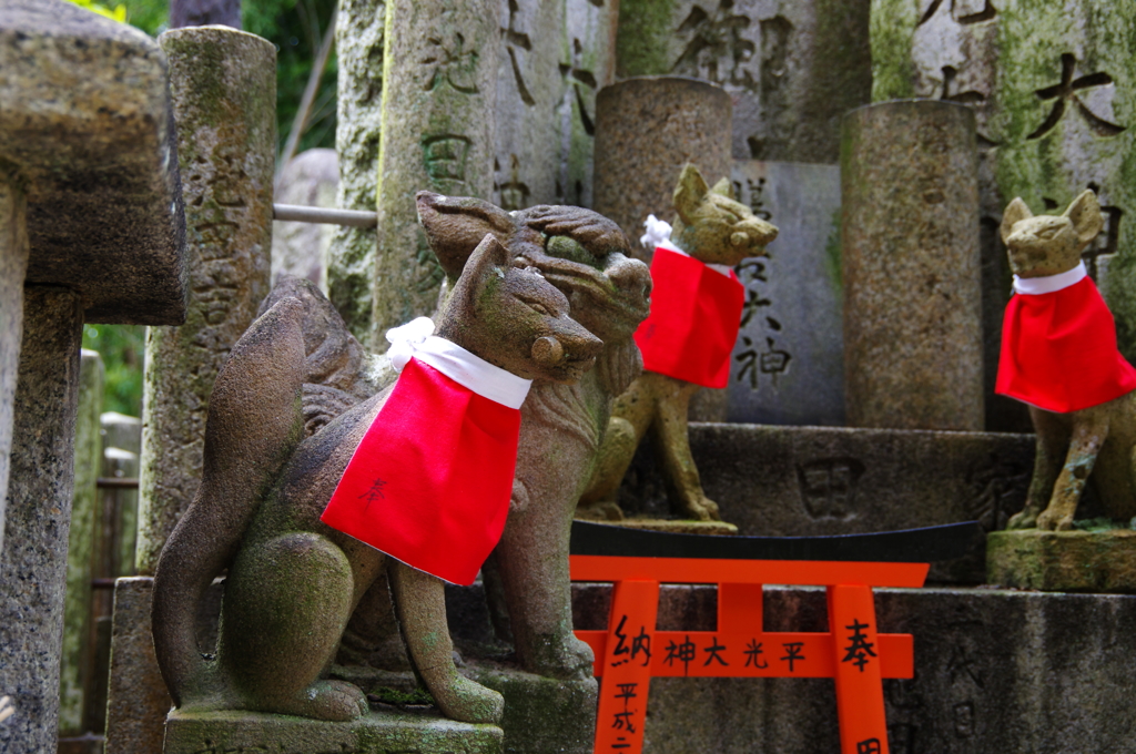 狐と狛犬の同居