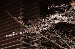 奈良時代にはない光景