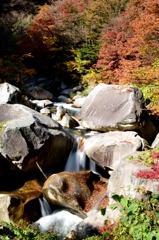 昇仙峡の紅葉２