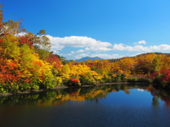 大雪高原沼の紅葉