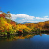 大雪高原沼の紅葉