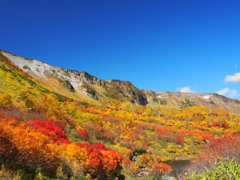 大雪高原沼の紅葉