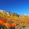 大雪高原沼の紅葉