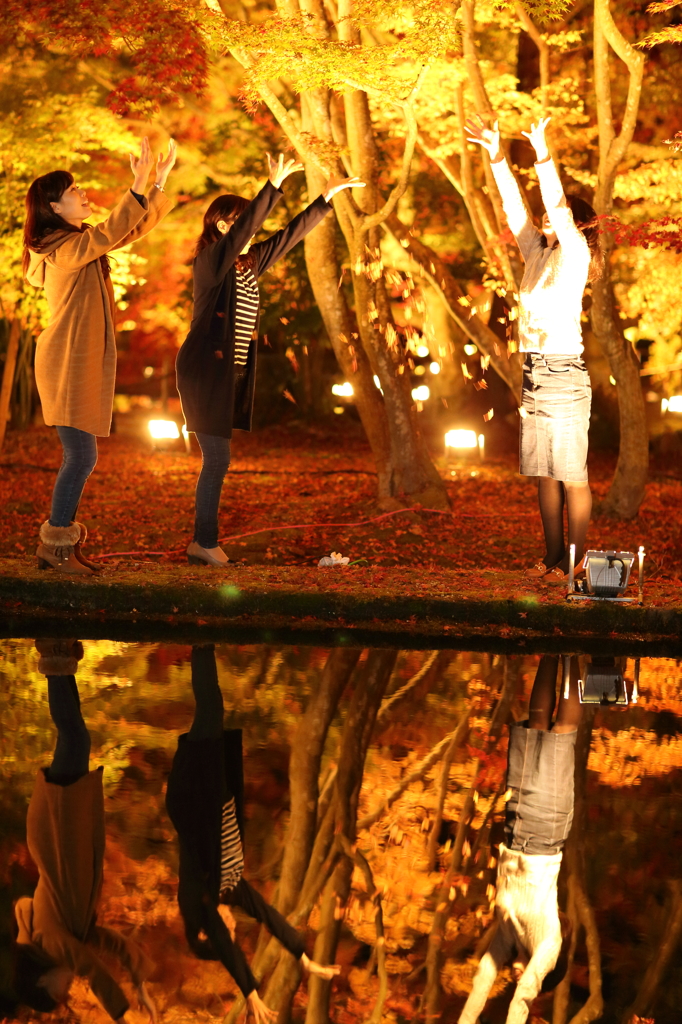鏤める紅葉