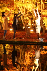 鏤める紅葉