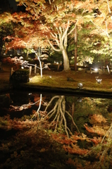 逆さ紅葉