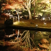 逆さ紅葉