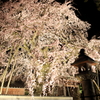 桜堂薬師