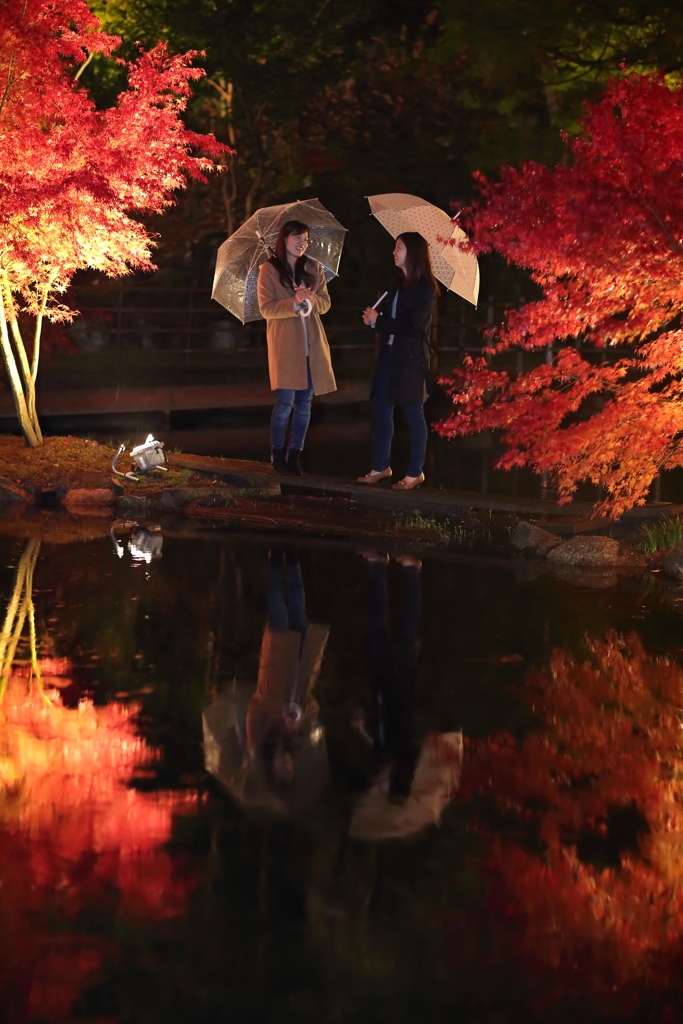 雨中のひかり