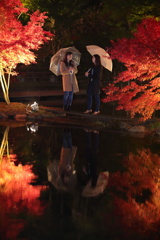 雨中のひかり