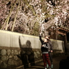 桜どう？