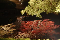 曽木公園