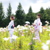 夏ダイナ