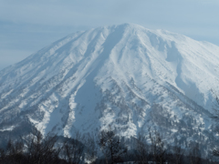 春の羊蹄山その1