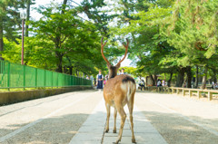 welcome　to　narapark 