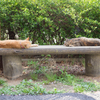 距離感