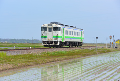 田植えの季節