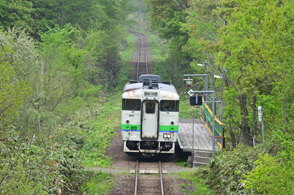 初夏の豊ヶ岡駅