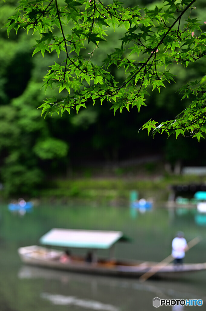 初夏の京都②
